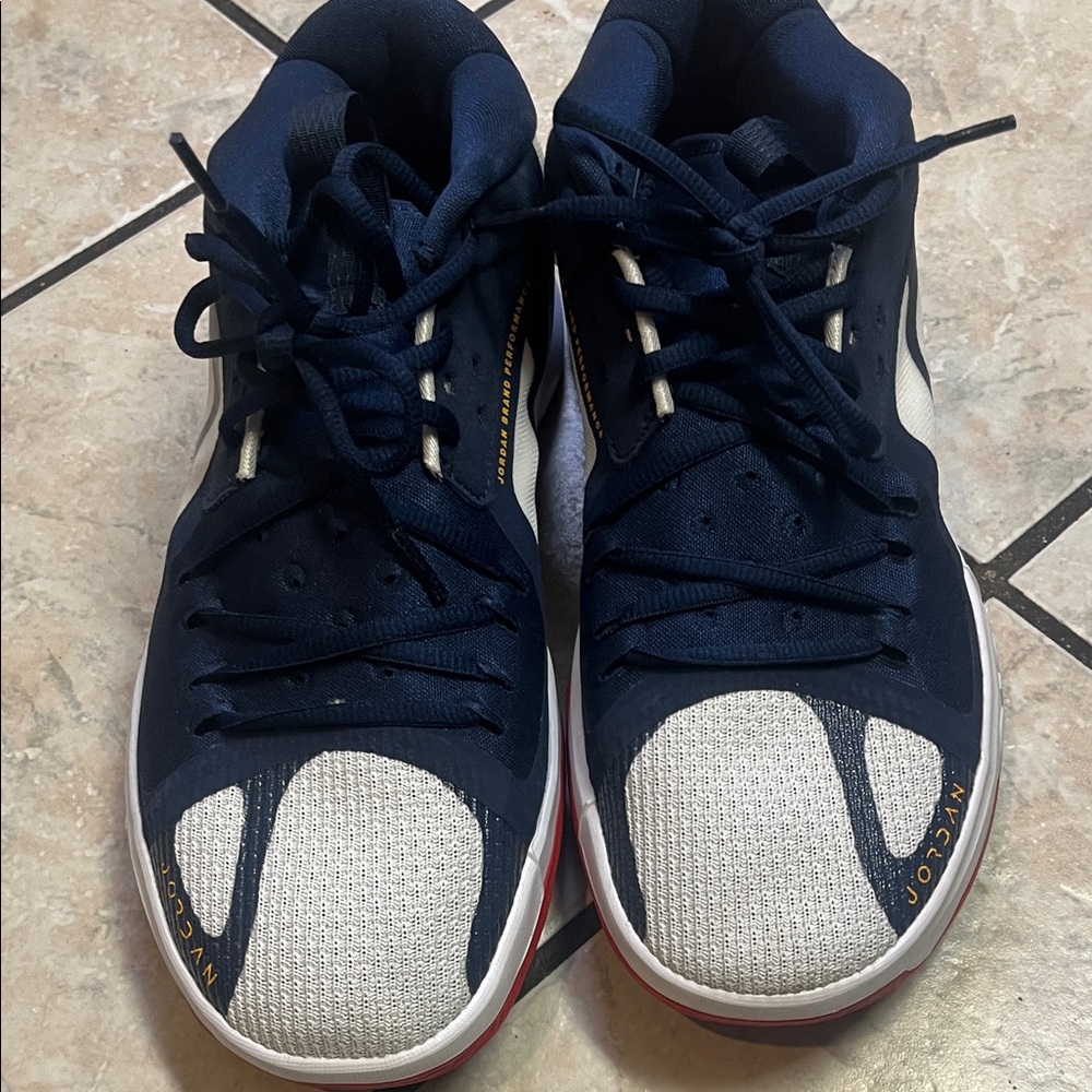 Jordan Navy and White Performance Sneakers